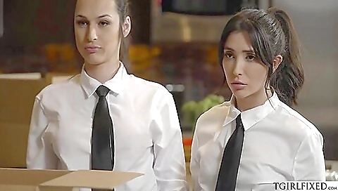 Busty Ts And teen 18+ Fucks Behind Counter