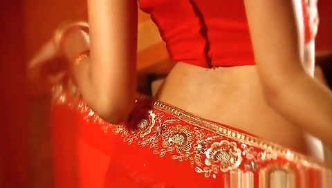Bollywood Queen Of Erotic Dance Sexy Milf