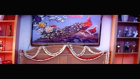 Telugu movie softcore first night scene